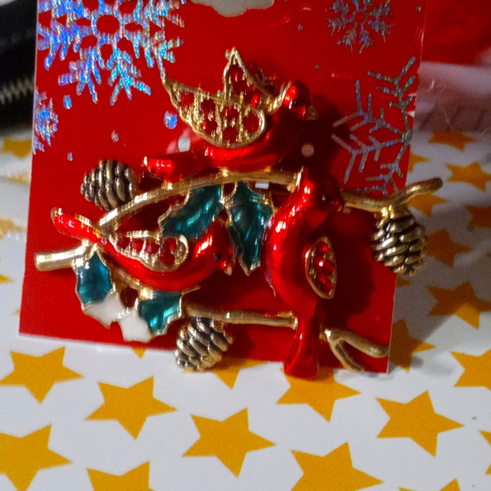 Cardinal Brooch
